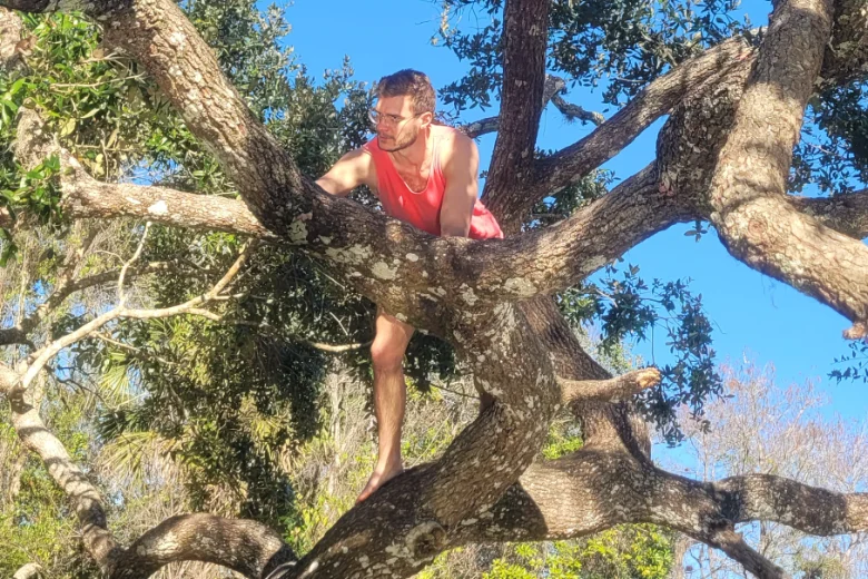 Nils climbing a tree in Florida